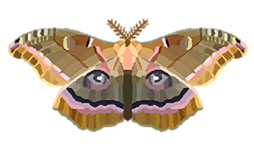 Moth(lady) Sticker